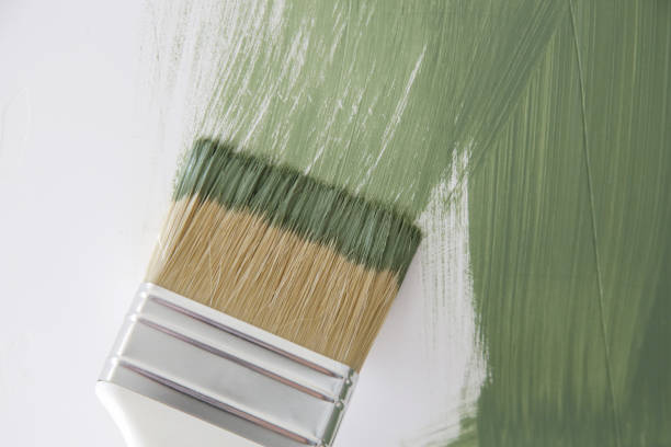 Best Trim and Molding Painting  in South Apopka, FL